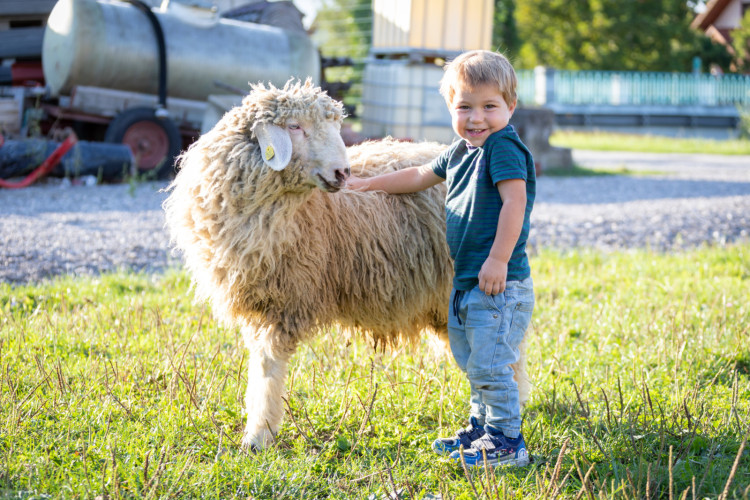 Moritz mit Amadeus I
